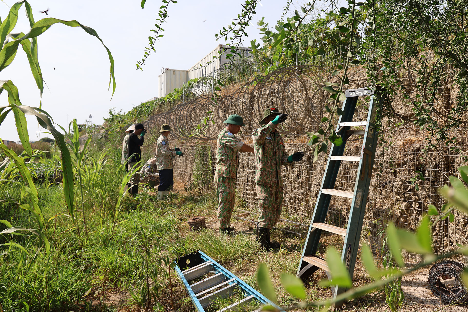 /UploadStore/admin/251101 dvdc dien tap/b07a0177-763.jpg